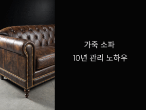 가죽 소파, 10년 써도 새것처럼! 오래 사용하는 관리법 총정리