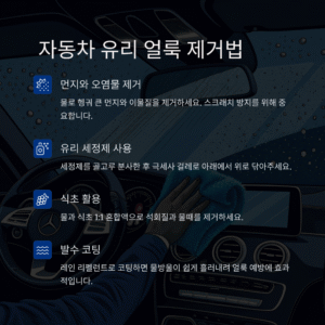 자동차 실내 청소하는 방법 – 깔끔한 드라이빙을 위한 완벽 가이드