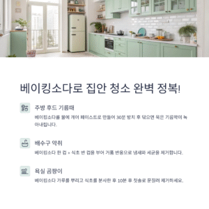 베이킹소다 청소법