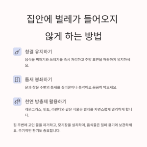 집안에 벌레가 들어오지 않게 하는 방법: 놓치지 말아야 할 실전 차단 꿀팁