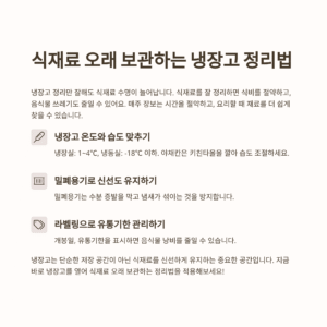 식재료 오래 보관하는 냉장고 정리법