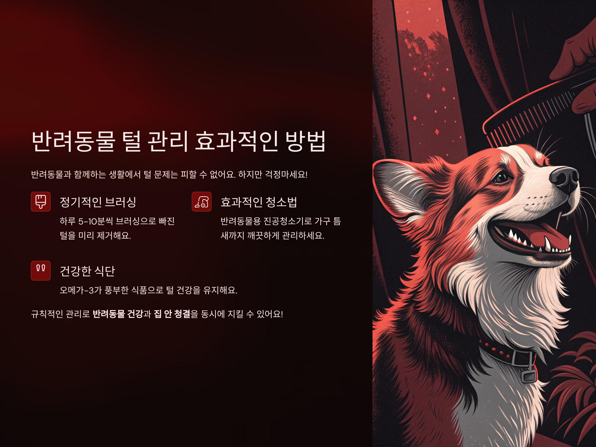 반려동물 털 관리하는 법, 집 안 깨끗하게 유지하는 실전 팁