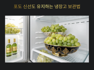 포도를 오래 싱싱하게! 냉장고 속에서 신선도 지키는 똑똑한 정리법