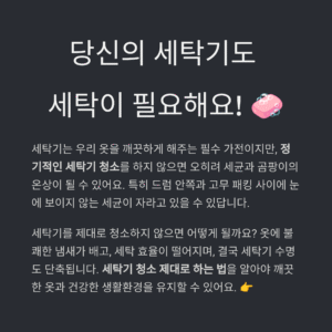 세탁기 청소 제대로 하는 법