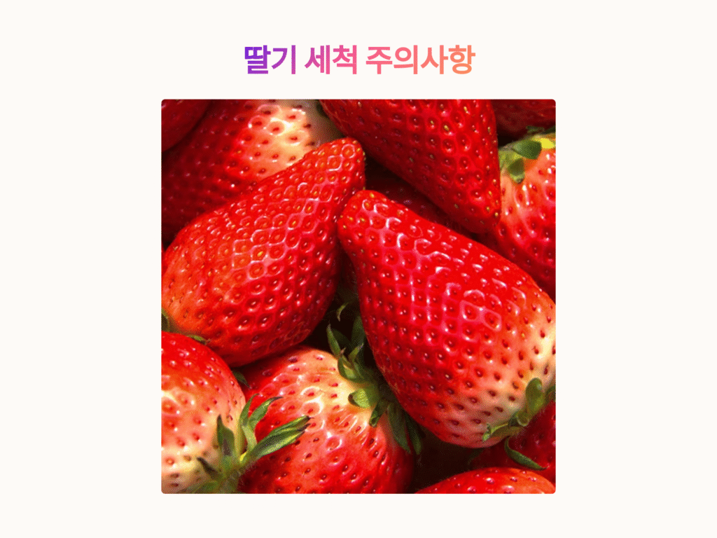 딸기 세척, 이렇게 해야 안 상해요! 반드시 지켜야 할 3가지 원칙
