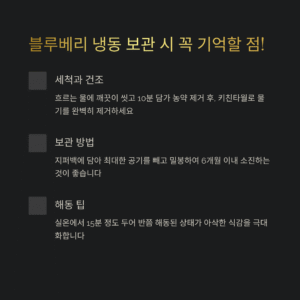 블루베리 냉동 보관 시 유의점, 신선함을 오래 유지하는 방법