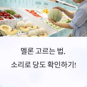 멜론 고르는 법, 이 소리 들리면 당도 보장! 실패 없는 선택 비결