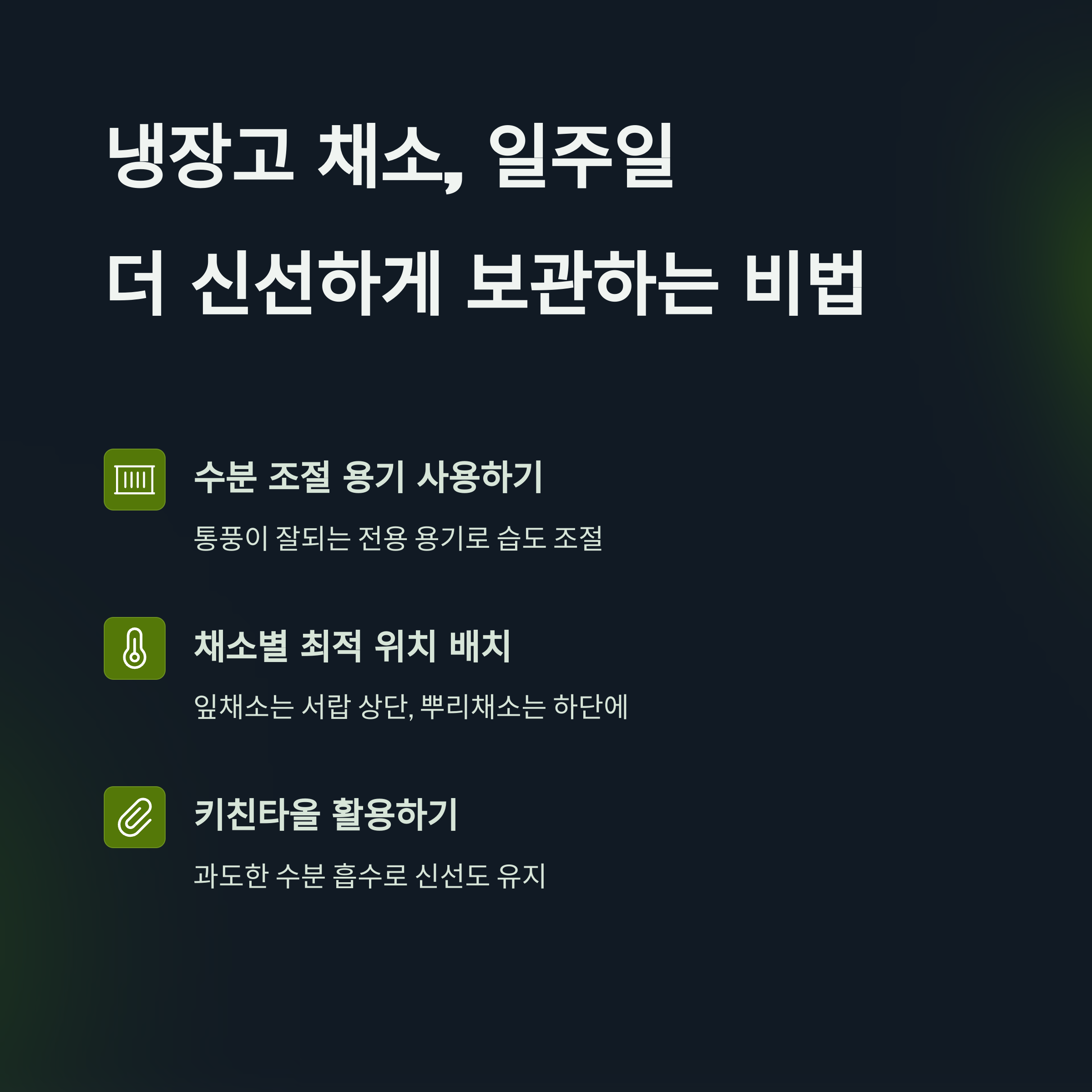냉장고에 채소 가득? 정리만 잘해도 일주일 더 신선하게 보관하는 법