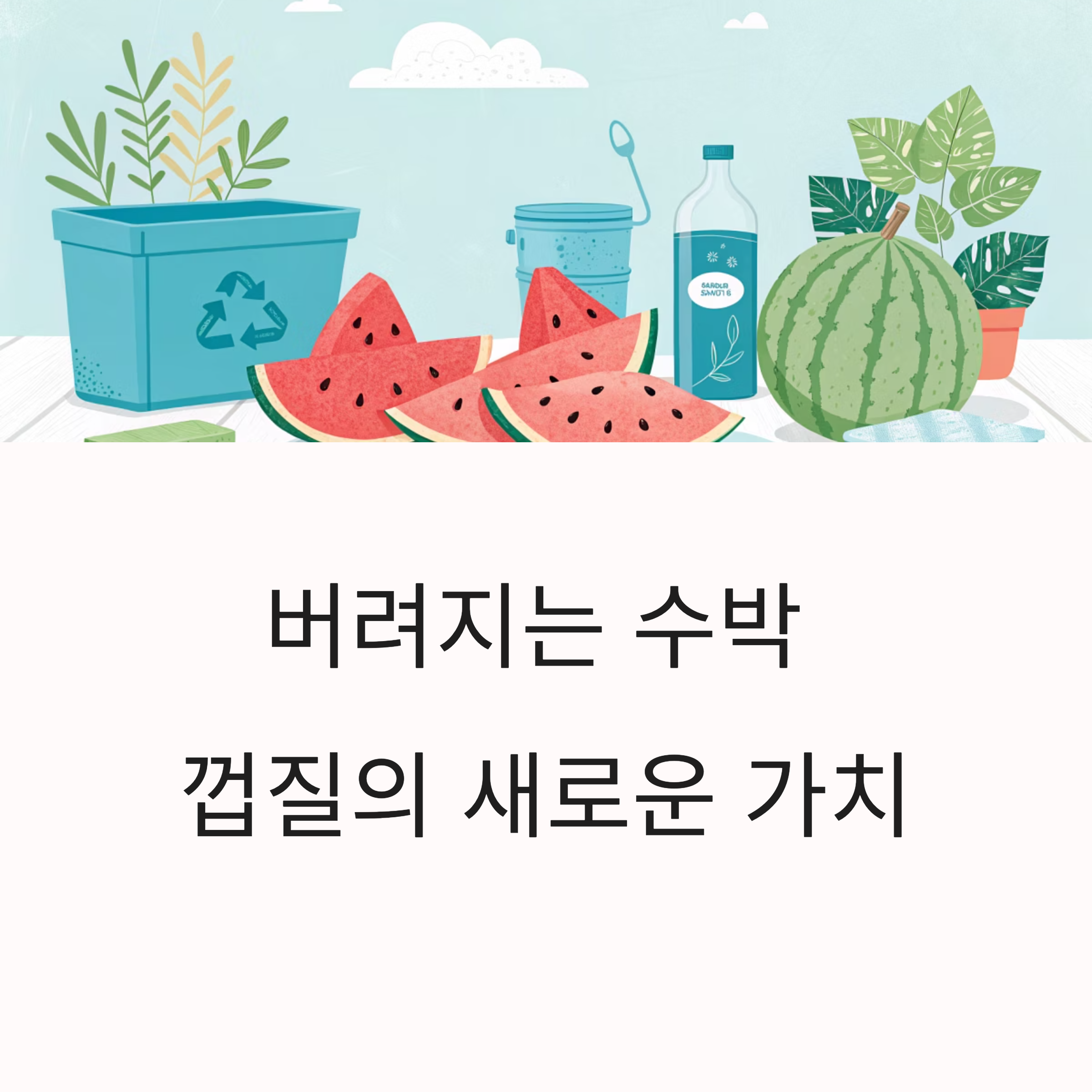 수박 껍질 활용법! 음식물 쓰레기 줄이는 친환경 레시피