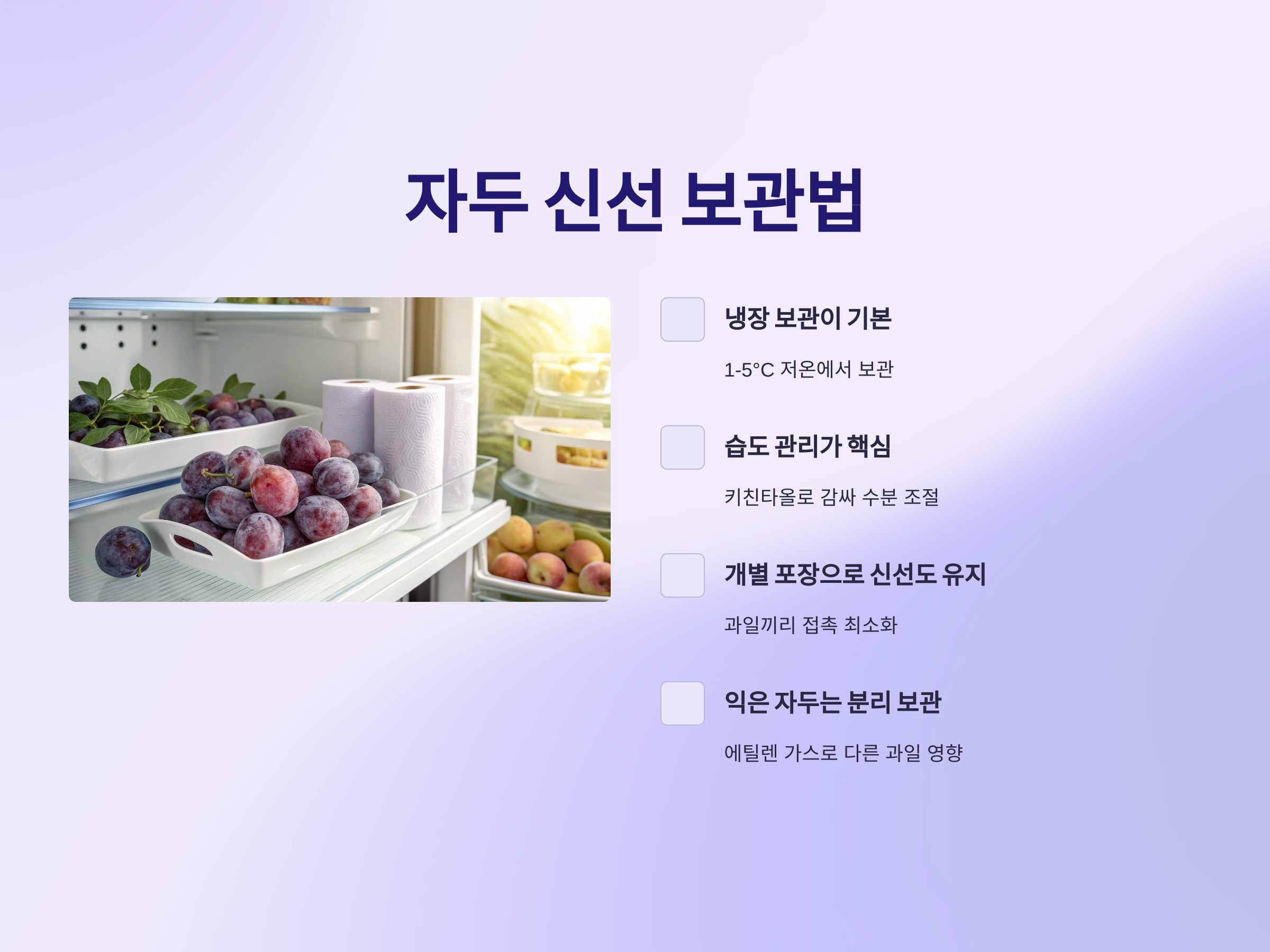 자두 물러짐 없이 보관하는 법, 신선함 오래 유지하는 꿀팁