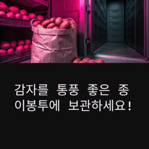 감자는 여기 넣어 보관하세요! 여름철 썩는 속도 확 줄어듭니다