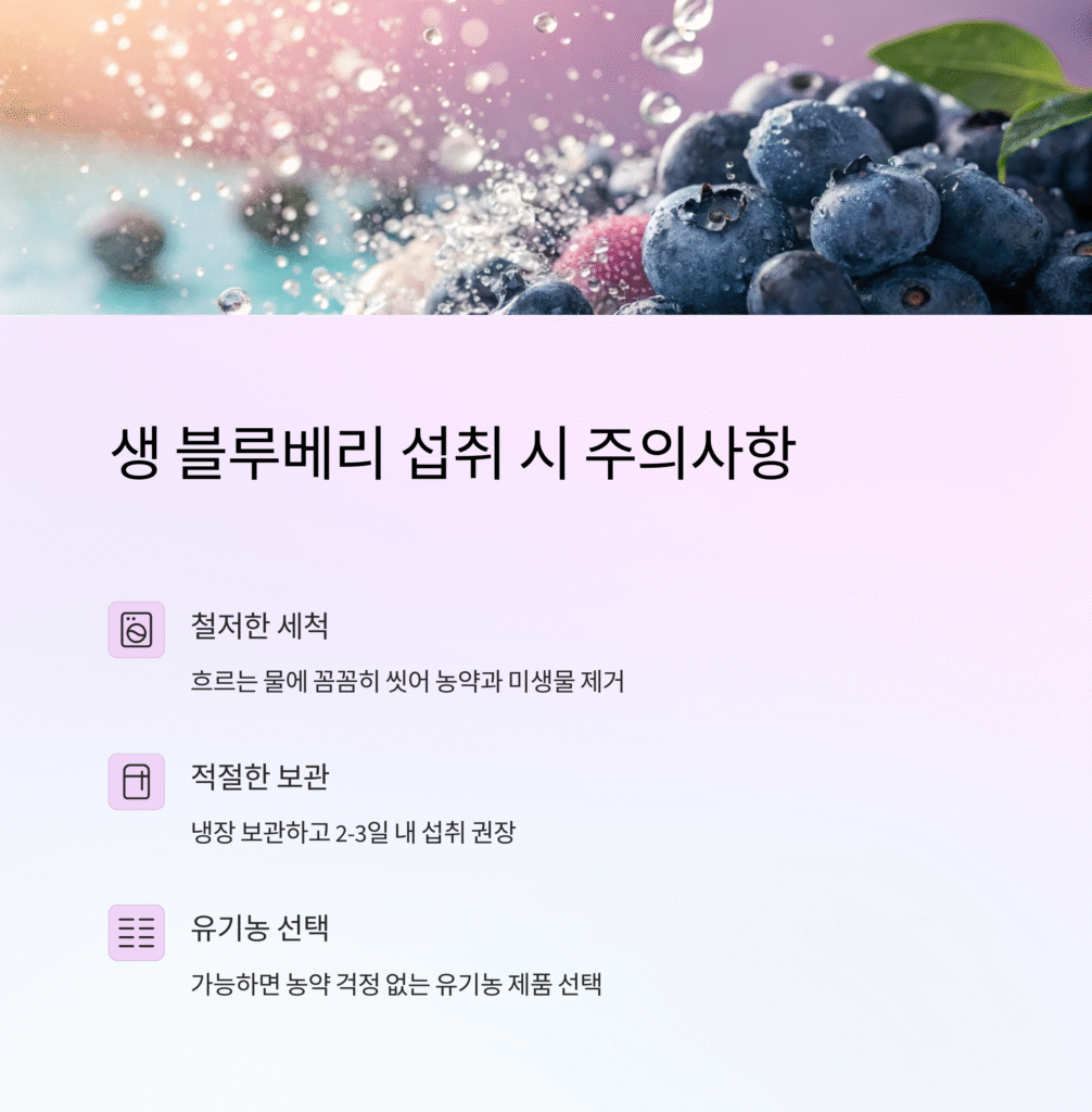 블루베리 생으로 먹을 때 조심해야 할 5가지 핵심 주의사항