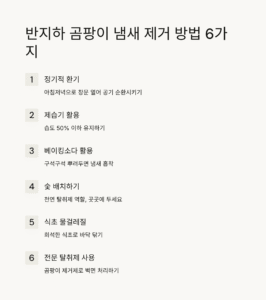 반지하 곰팡이 냄새 제거 방법 6가지, 꿉꿉한 지하 냄새 확실하게 없애는 법