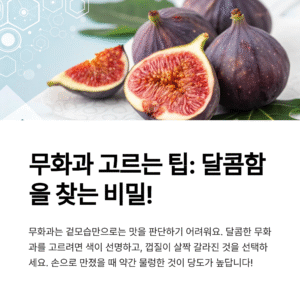 무화과, 이렇게 고르면 꿀맛 보장! 달콤함을 결정하는 고르는 법
