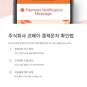 주식회사 코페이 결제내역 문자 조회 방법 및 최신 정보 업데이트