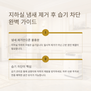 지하실 냄새 제거 후 습기 차단까지, 쾌적한 공간 만드는 완벽 가이드