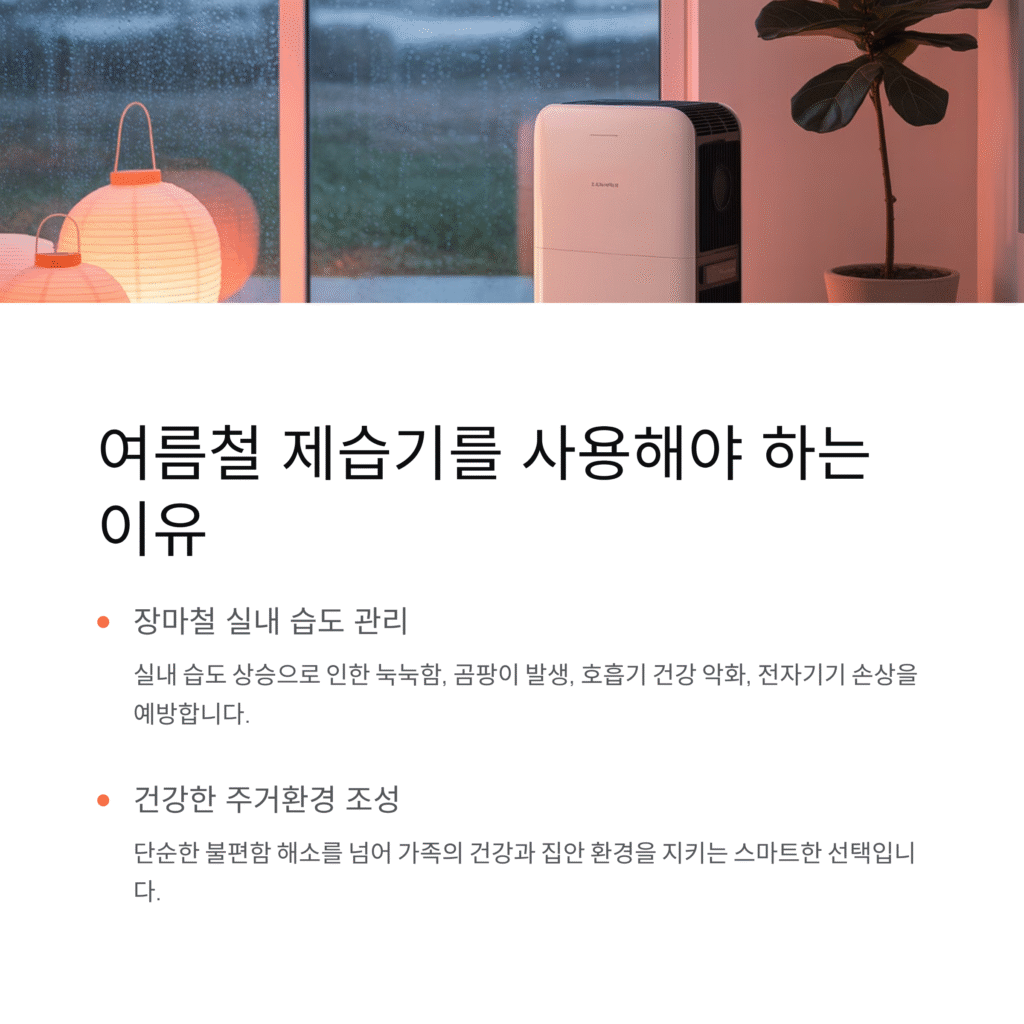 여름철 제습기를 사용해야 하는 이유: 습기 잡고 건강 지키는 스마트한 선택
