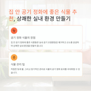 집 안 공기 정화에 좋은 식물 추천, 상쾌한 실내 환경 만들기