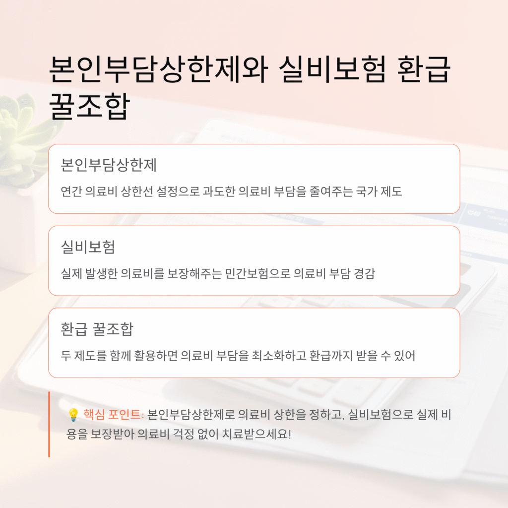 본인부담상한제와 실비보험, 환급 꿀조합 완전 정리