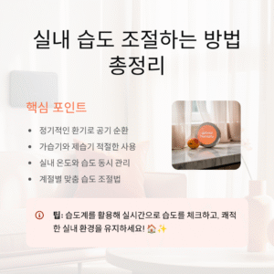 실내 습도 조절하는 방법 총정리