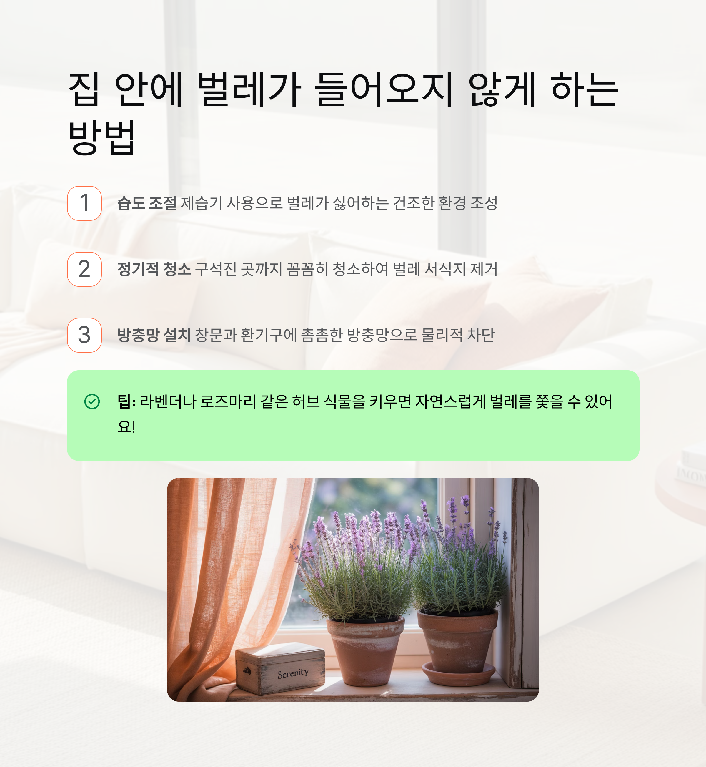 집 안에 벌레가 들어오지 않게 하는 방법