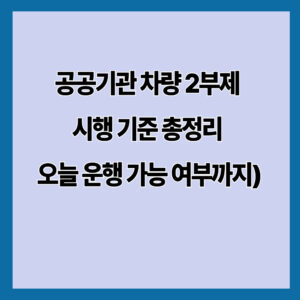 공공기관 차량 2부제 시행 기준 총정리 (오늘 운행 가능 여부까지)