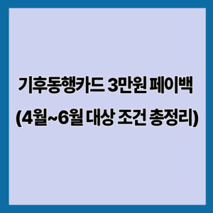 기후동행카드 3만원 페이백 (4월~6월 대상 조건 총정리)