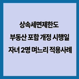 상속세면제한도 부동산 포함 개정 시행일 자녀 2명 며느리 적용사례