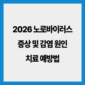 2026 노로바이러스 증상 및 감염 원인 치료 예방법