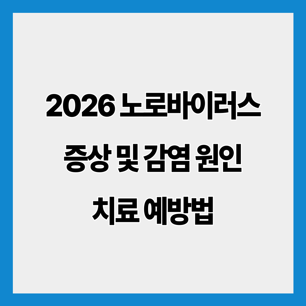 2026 노로바이러스 증상 및 감염 원인 치료 예방법