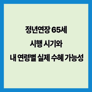 정년연장 65세 시행 시기와 내 연령별 실제 수혜 가능성